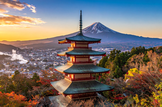 Cherry Blossom Japan Tour